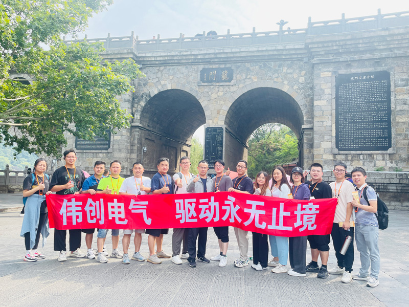 Foto di gruppo alle Grotte di Longmen